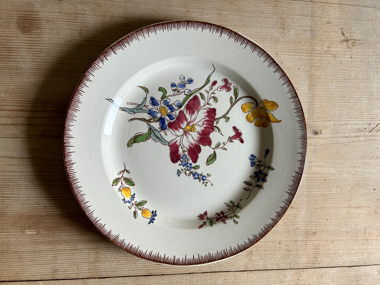 Assiettes plates - Strasbourg
