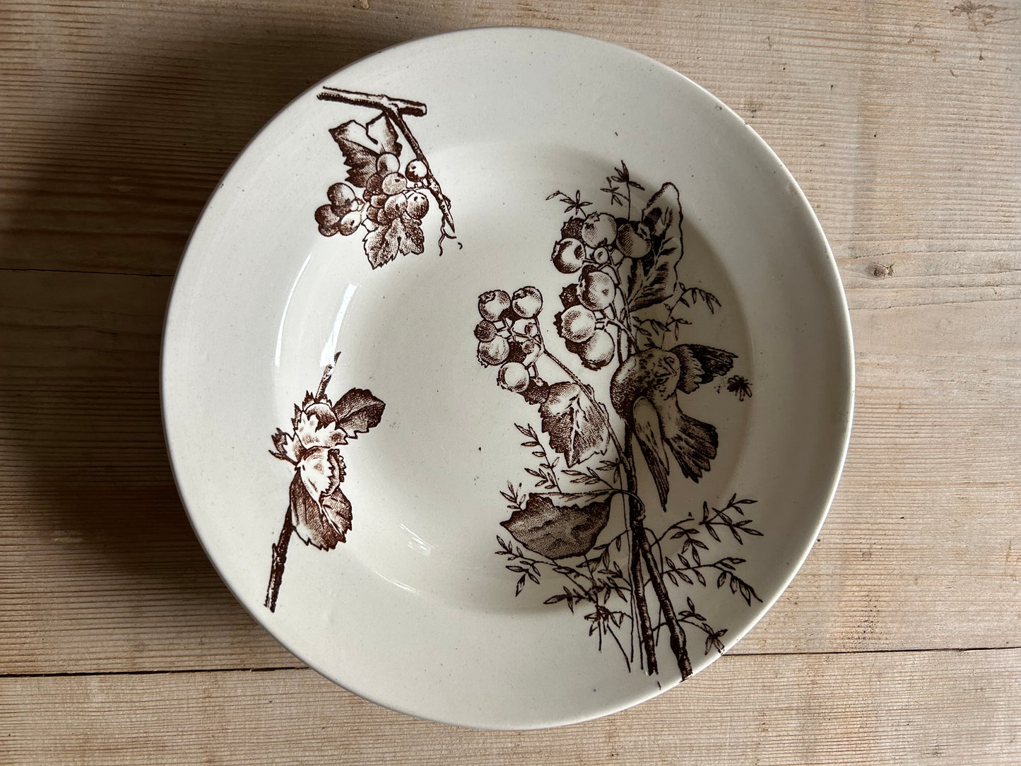 Six assiettes creuses - HB & Cie