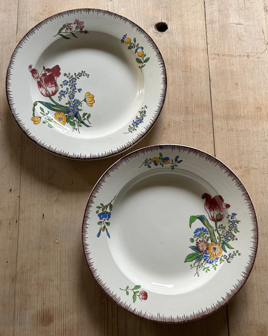 Assiettes à soupe - Strasbourg