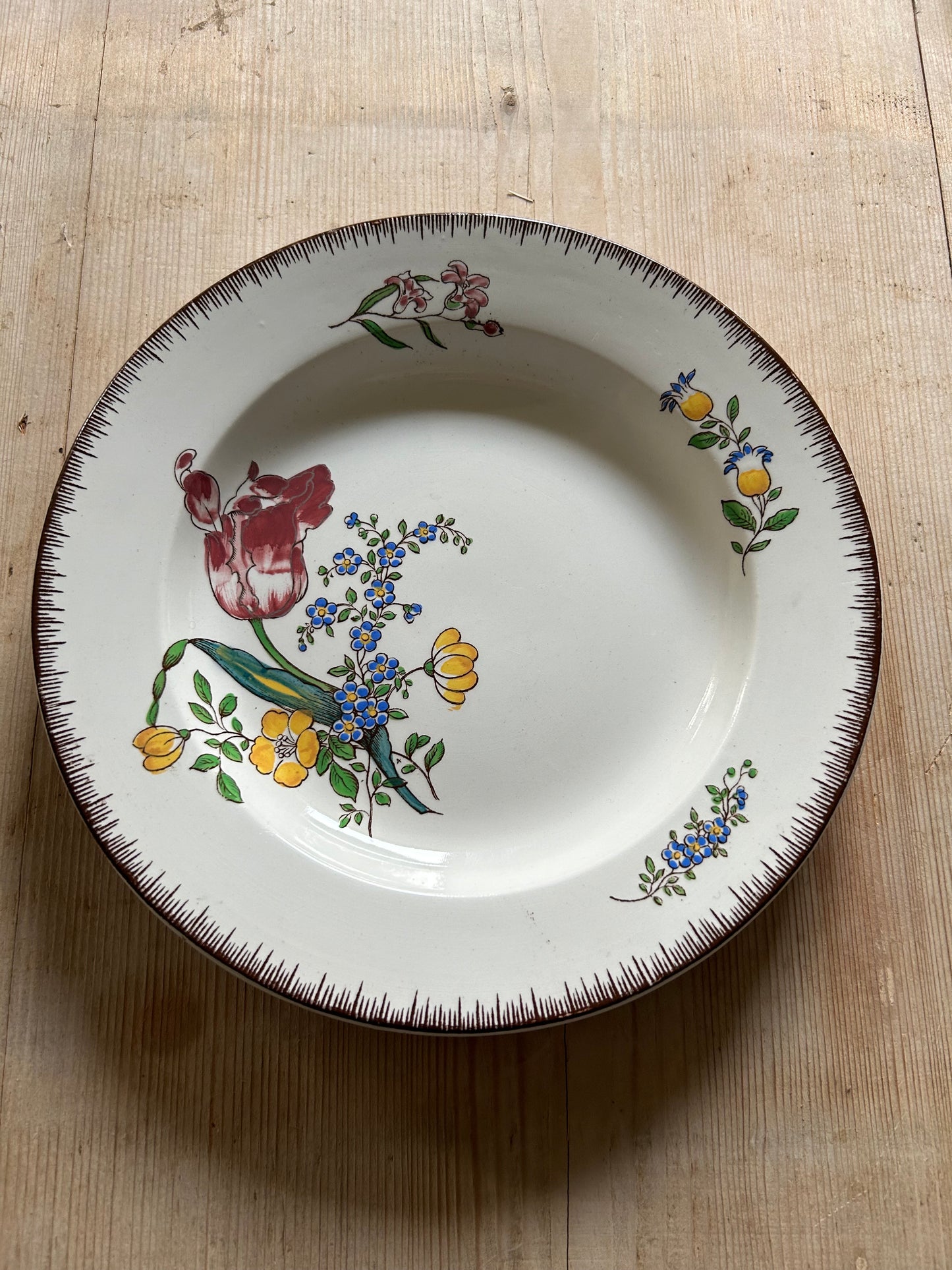Assiettes à soupe - Strasbourg