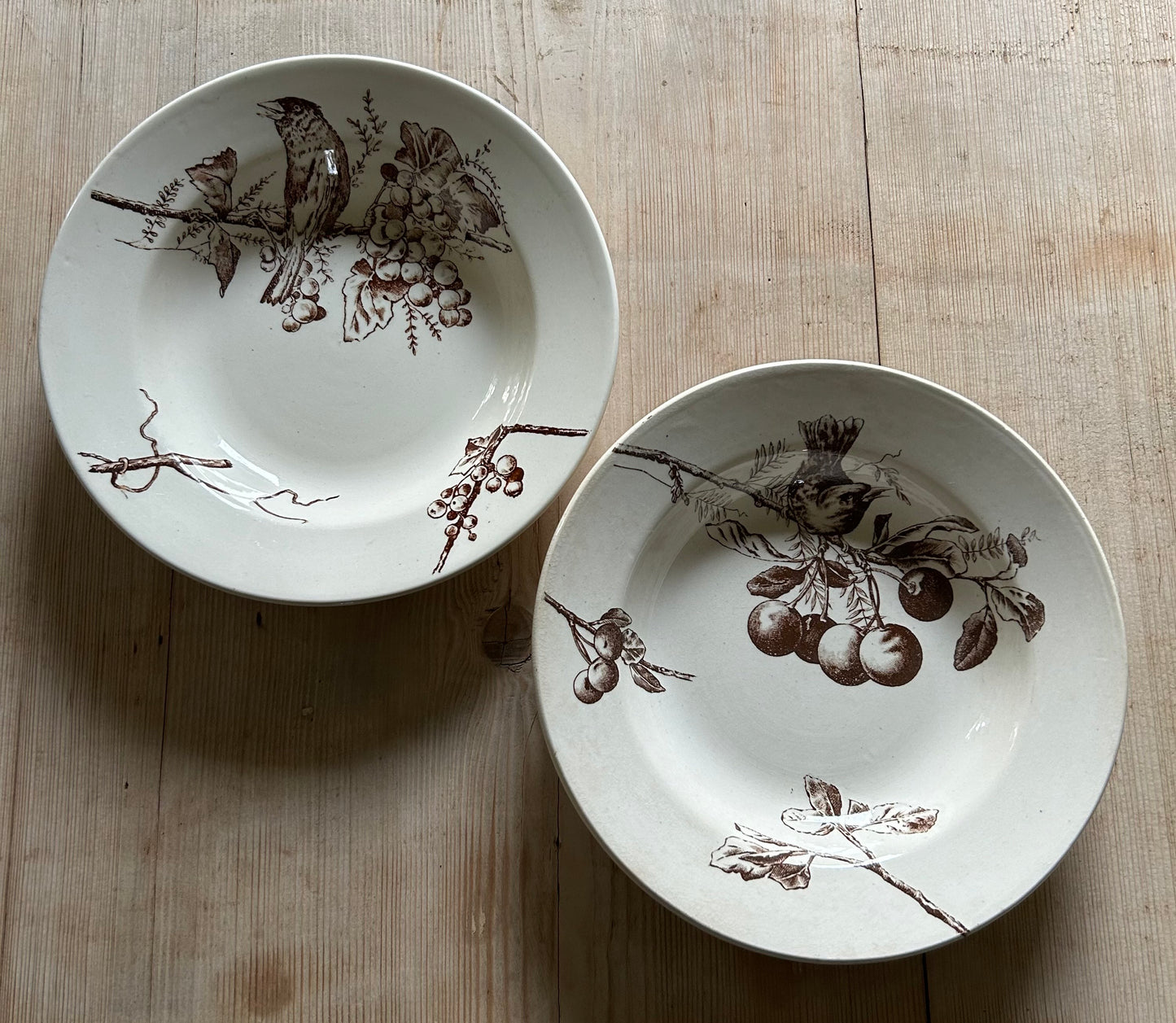 Six assiettes creuses - HB & Cie