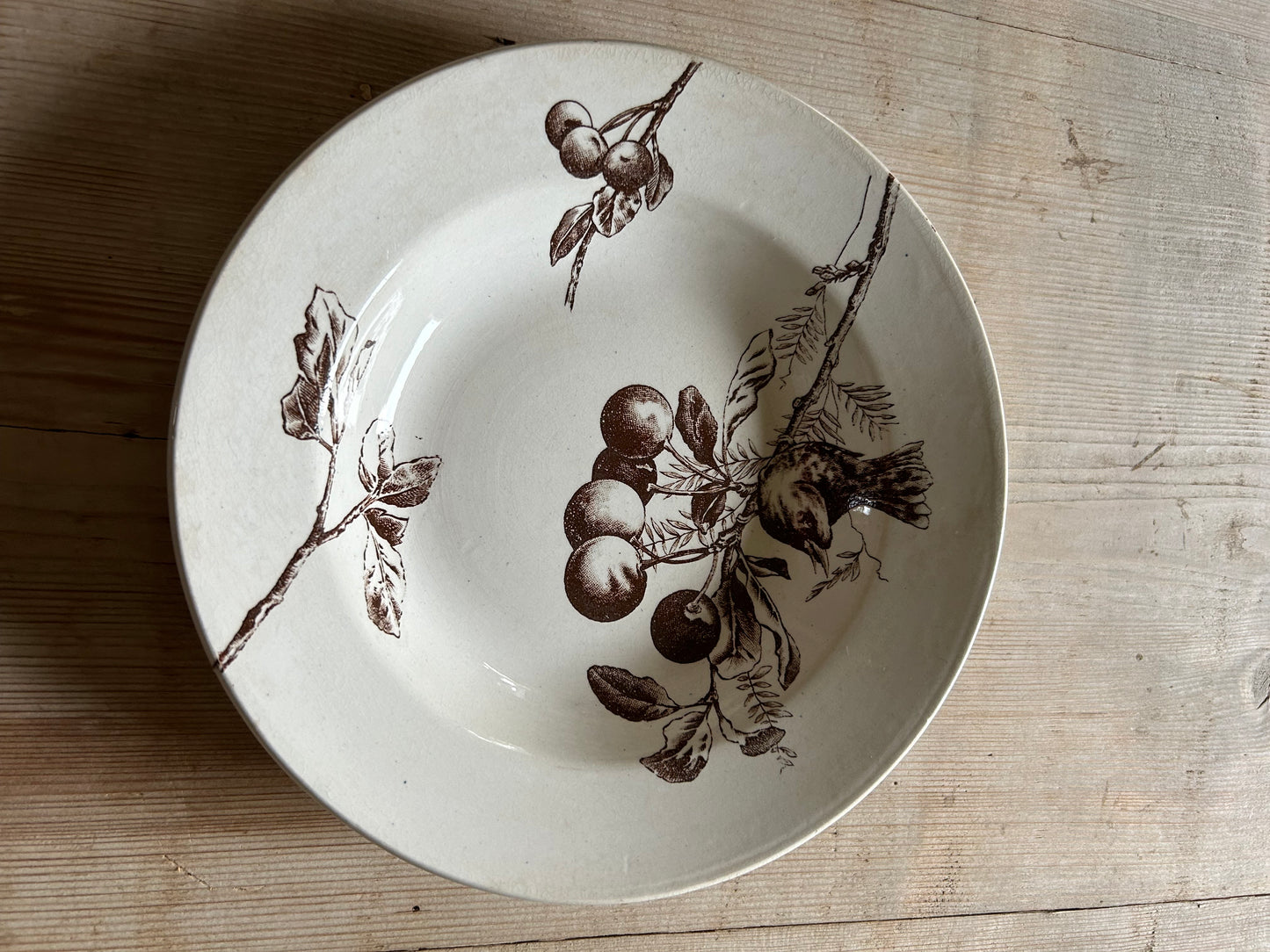 Six assiettes creuses - HB & Cie
