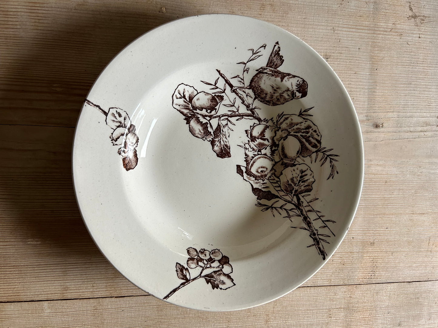 Six assiettes creuses - HB & Cie