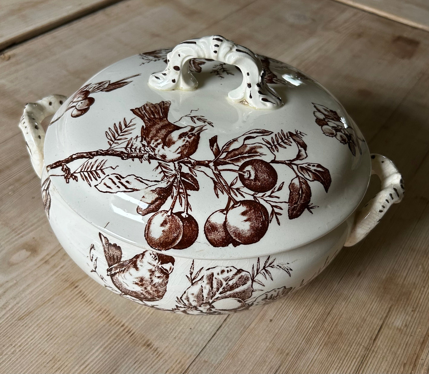 Soupière - HB & Cie